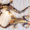 Lizards 1
