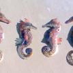 Sea horses
